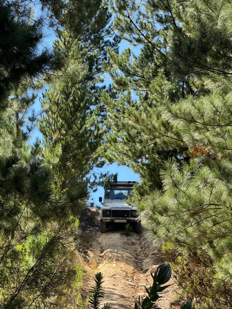 A white Land Rover Defender climbing a steep forest track